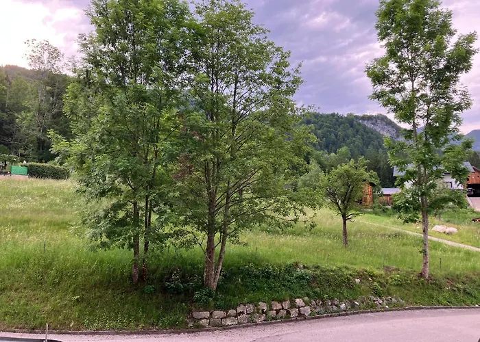 아파트 Jogginghose